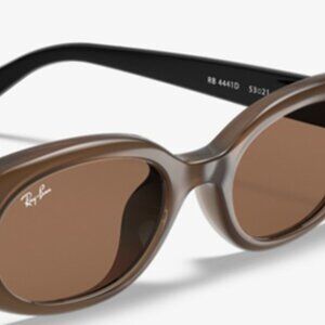 Ray-Ban Rb4441d Oval Sunglasses Matte Opal Brown-new with box and case